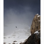 DSC_0550_web