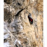 DSC_0768_web