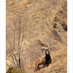 DSC_1194_web