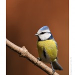 DSC_2804_web