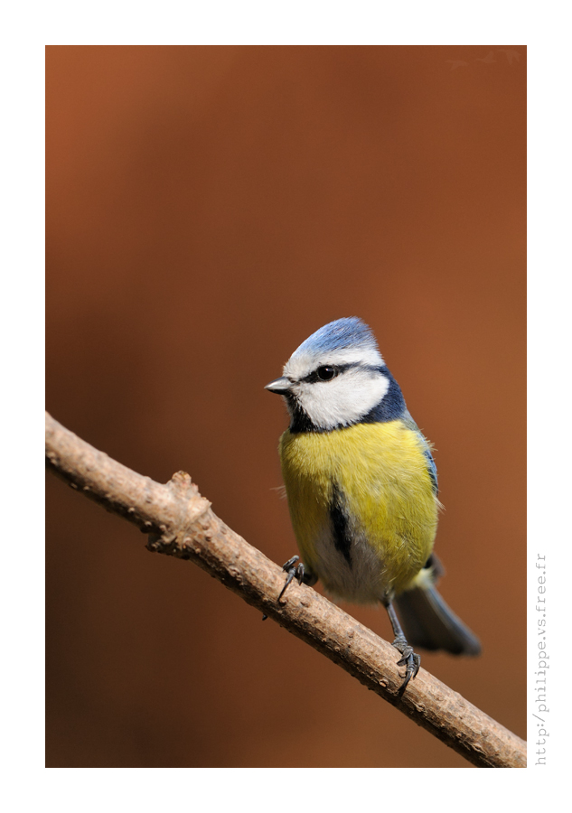 DSC_2804_web