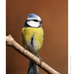 DSC_2824_web