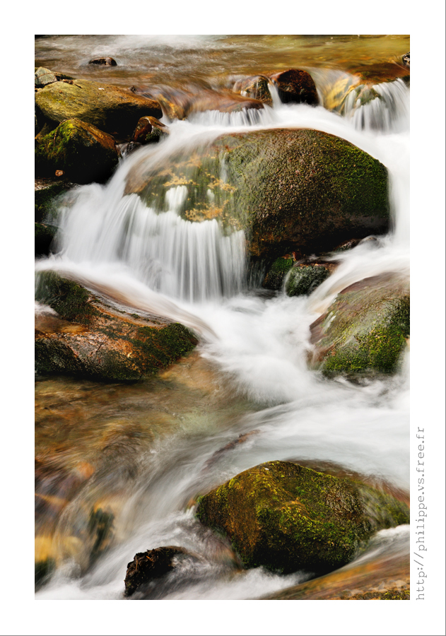 DSC_2873_web