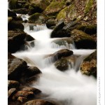 DSC_2894_web