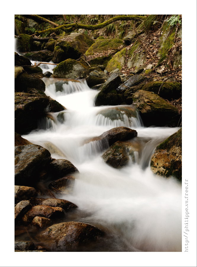 DSC_2894_web