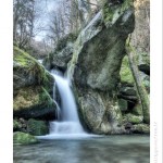 DSC_2912_web