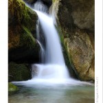 DSC_2919_web