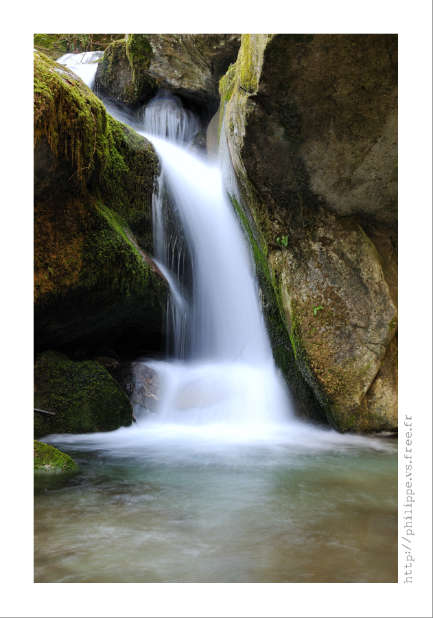 DSC_2919_web