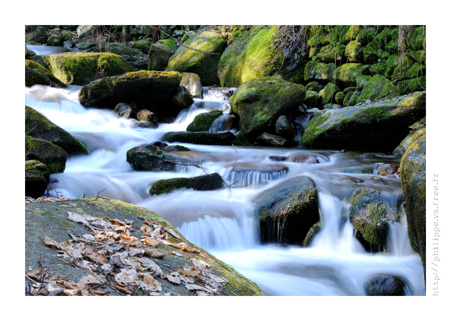 DSC_2930_web