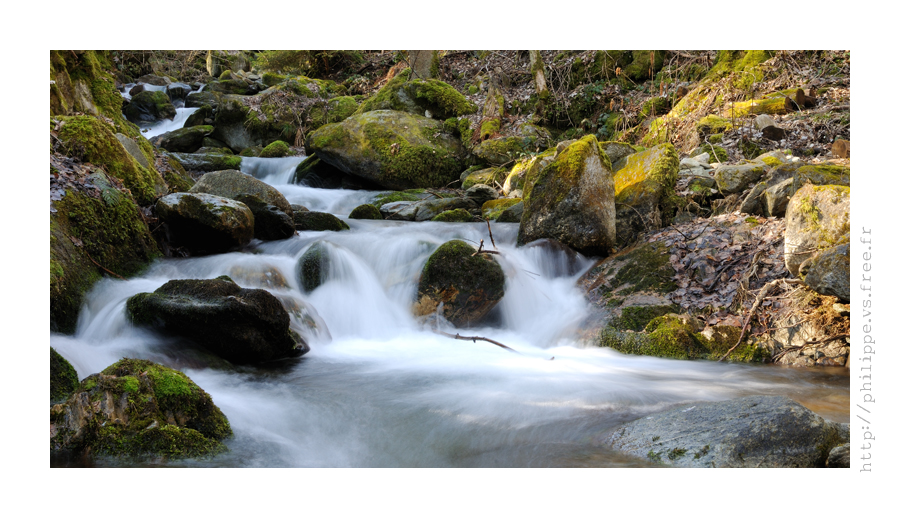 DSC_2940_web