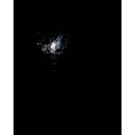 DSC_2955_web