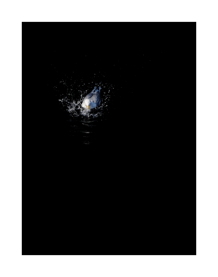 DSC_2955_web