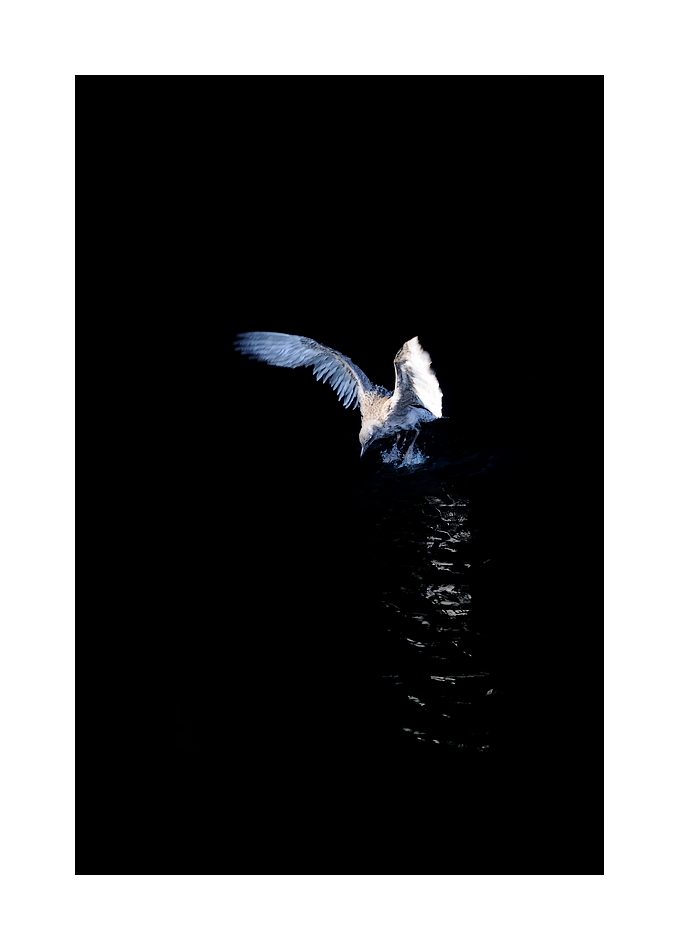 DSC_2995_web