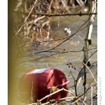 DSC_3247_web