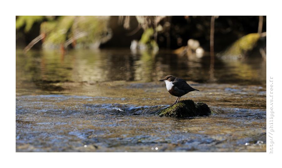 DSC_3387_web