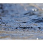 DSC_3415_web
