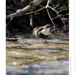 DSC_3420_web