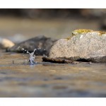 DSC_3549_web