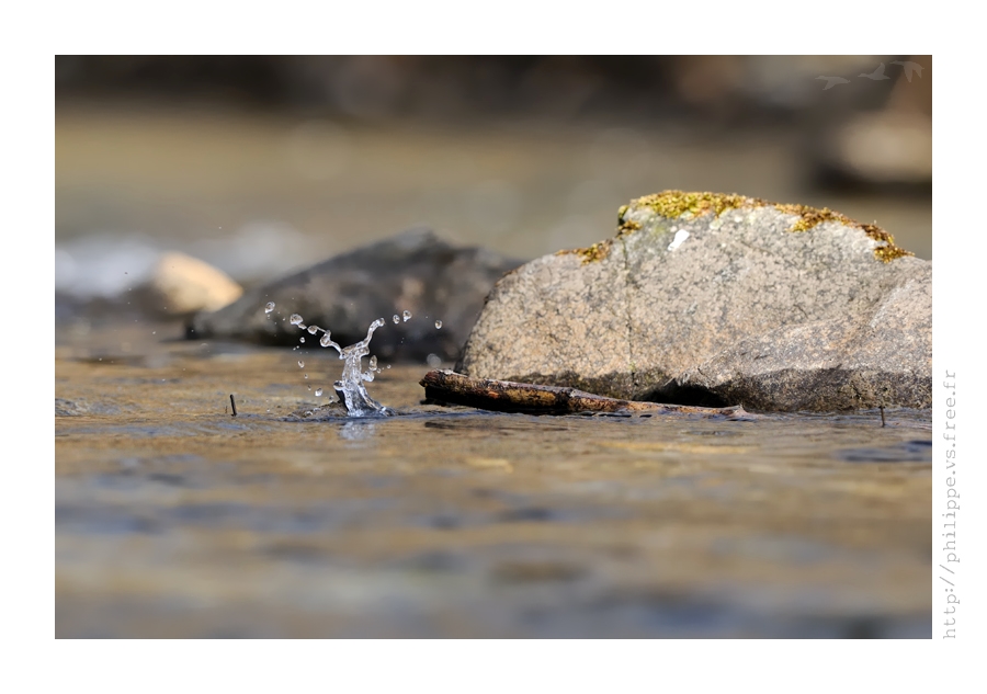 DSC_3549_web