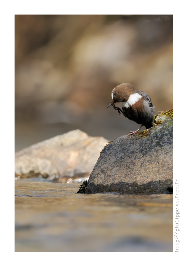 DSC_3607_web