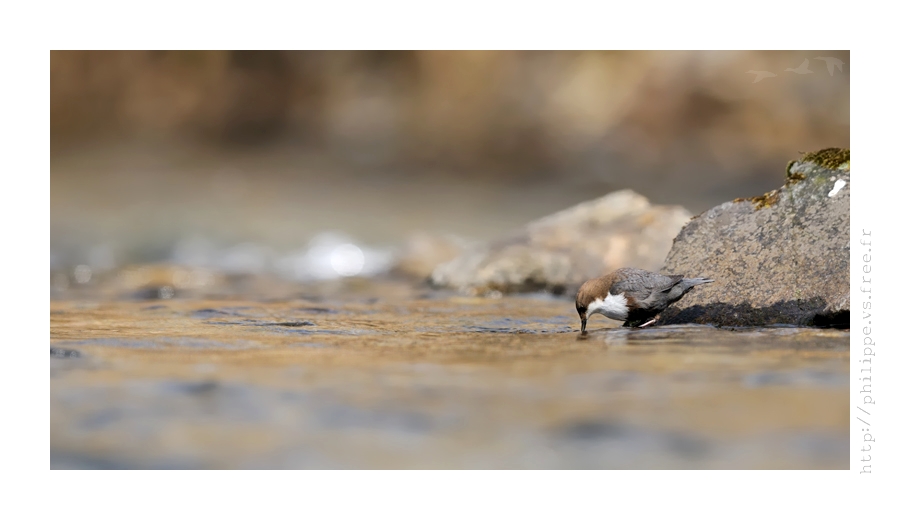 DSC_3670_web