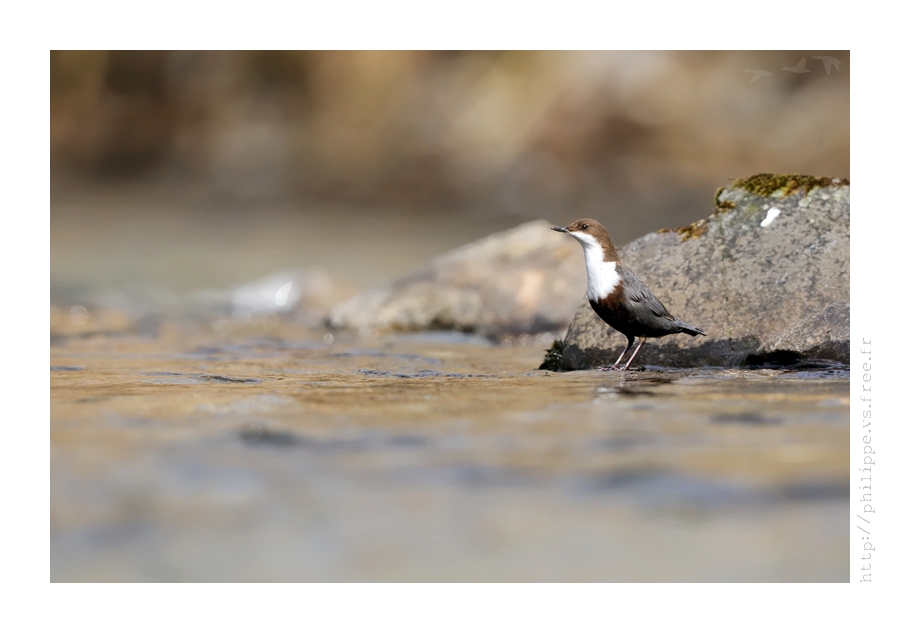 DSC_3682_web