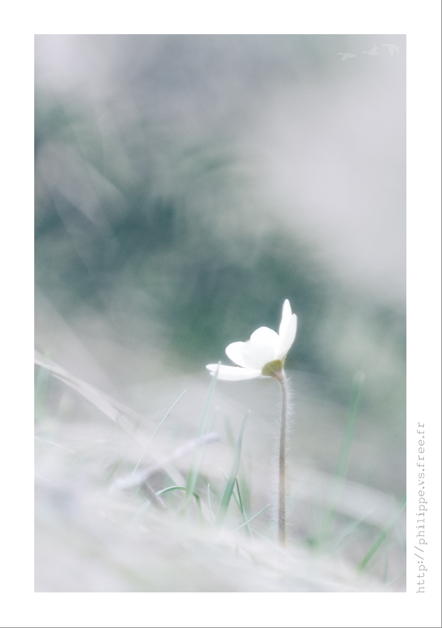 DSC_3910_web