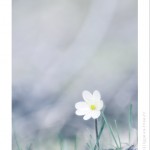 DSC_3912_web