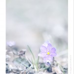 DSC_3916_web