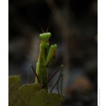 DSC_4118_web