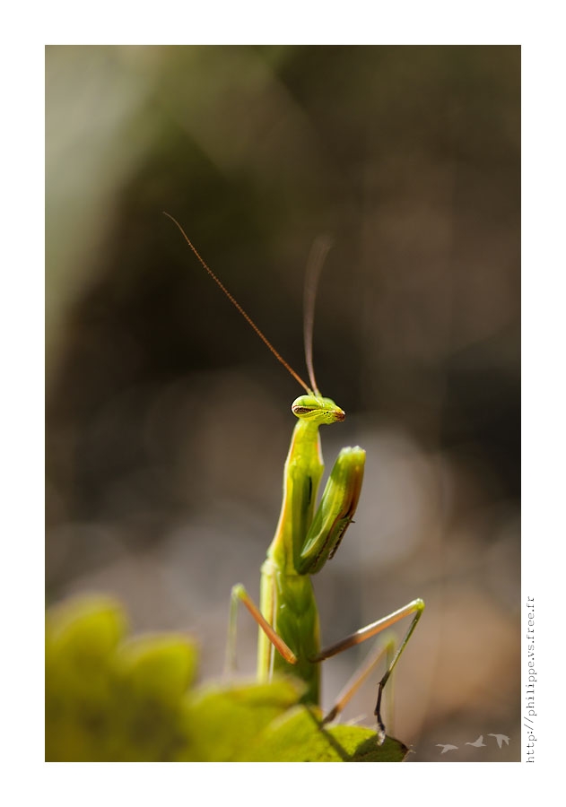 DSC_4122_web