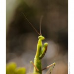 DSC_4122_web