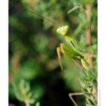 DSC_4155_web