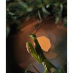 DSC_4202_web