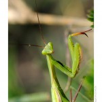 DSC_4209_web
