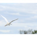 DSC_4267_web
