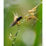 DSC_4303_web