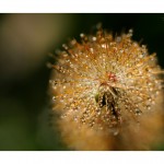 DSC_4315_v2_web