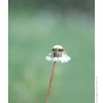 DSC_4373_web