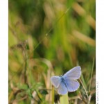 DSC_4470_web