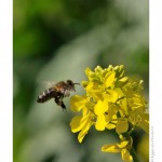 DSC_4808_web