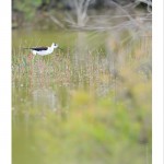 DSC_4919_web