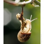 DSC_4931_web