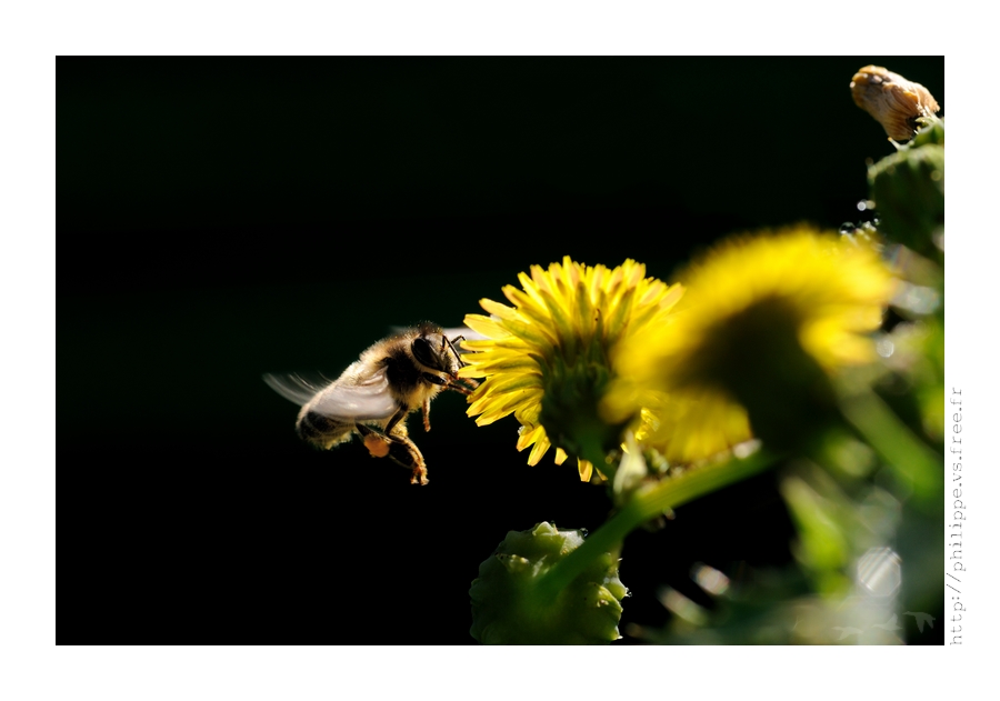 DSC_5028_web