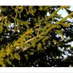 DSC_5089_web