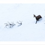 DSC_5304_web