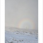 DSC_5380_web