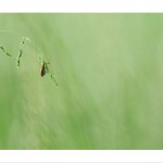 DSC_5393_web