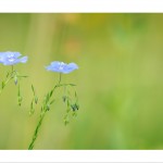 DSC_5405_web