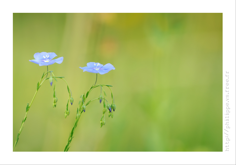 DSC_5405_web